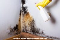 Mengatasi Masalah Dinding Rumah Berjamur Parah