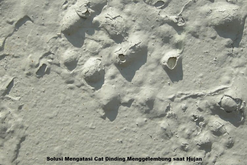 Solusi Mengatasi Cat Dinding Menggelembung saat Hujan