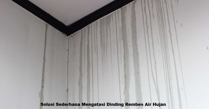 Solusi Sederhana Mengatasi Dinding Rembes Air Hujan